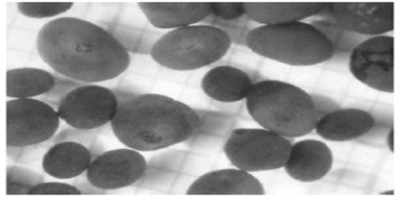 Cara Mengolah Lumpur Aktif (Activated Sludge)  Kontraktor vendor IPAL STP WTP RO Clarifier MBR Biofilter Bioclear septic tank PT Akatech Biotama